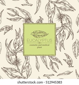 Background with eucalyptus- leaves and flowers. Cosmetics and medical plant. hand drawn