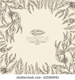 Background with eucalyptus: leaves and flowers. Cosmetics and medical plant. hand drawn.