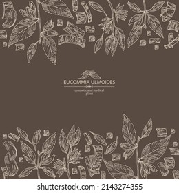 Background with eucommia ulmoides: eucommia  plant, leaves, flowers and eucommia ulmoides bark. Cosmetic, perfumery and medical plant. Vector hand drawn illustration.