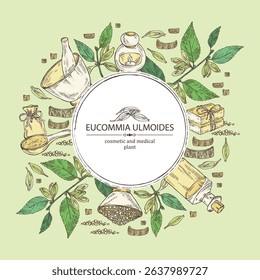 Background with  eucommia ulmoides: eucommia  plant, leaves, flowers and eucommia ulmoides bark. Oil, soap and bath salt . Cosmetics and medical plant. Vector hand drawn