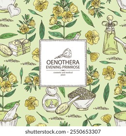 Fundo com primula da noite: planta de oenothera, folhas e flores da primula da noite. Oenothera. Óleo, sabão e sal de banho . Cosméticos e planta médica. Mão de vetor desenhada