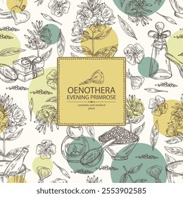 Background with evening primula: oenothera plant, leaves and evening primula flowers. Oenothera. Oil, soap and bath salt . Cosmetics and medical plant. Vector hand drawn