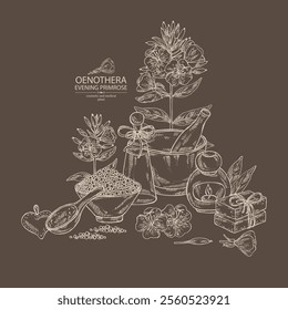 Background with evening primula: oenothera plant, leaves and evening primula flowers. Oenothera. Oil, soap and bath salt . Cosmetics and medical plant. Vector hand drawn