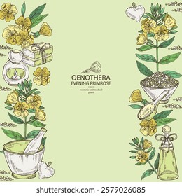 Background with evening primula: oenothera plant, leaves and evening primula flowers. Oenothera. Oil, soap and bath salt . Cosmetics and medical plant. Vector hand drawn