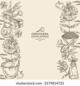 Background with evening primula: oenothera plant, leaves and evening primula flowers. Oenothera. Oil, soap and bath salt . Cosmetics and medical plant. Vector hand drawn