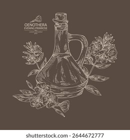 Fundo com primula da noite: planta de oenothera, folhas e flores da primula da noite e garrafa de óleo de oenothera.  Oenothera. Ilustração desenhada à mão vetorial.