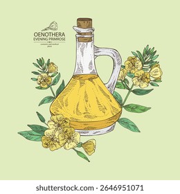 Fundo com primula da noite: planta de oenothera, folhas e flores da primula da noite e garrafa de óleo de oenothera.  Oenothera. Ilustração desenhada à mão vetorial.