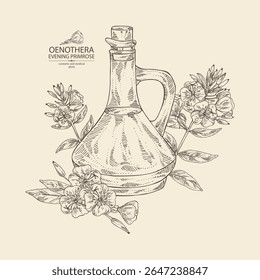 Fundo com primula da noite: planta de oenothera, folhas e flores da primula da noite e garrafa de óleo de oenothera.  Oenothera. Ilustração desenhada à mão vetorial.