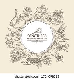 Fundo com primula da noite: planta de oenothera, folhas e flores da primula da noite. Oenothera. Óleo, sabão e sal de banho . Cosméticos e planta médica. Mão de vetor desenhada