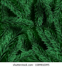 Background with evergreen fir tree branches.  Winter Merry Christmas and happy New Year backdrop. Vector illustration