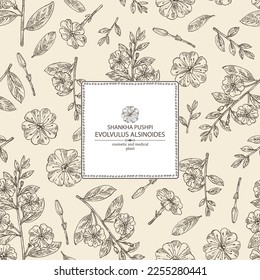 Antecedentes con evoluvulus alsinoides: Planta Shankha Pushpi, hojas y flores evoluvulus alsinoides. Shankha Pushpi. Cosmética, perfumería y planta médica. Ilustración dibujada a mano por el vector