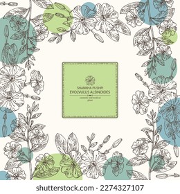 Background with evolvulus alsinoides: Shankha Pushpi plant, leaves and evolvulus alsinoides flowers. Shankha Pushpi. Cosmetic, perfumery and medical plant. Vector hand drawn illustration