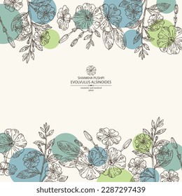 Background with evolvulus alsinoides: Shankha Pushpi plant, leaves and evolvulus alsinoides flowers. Shankha Pushpi. Cosmetic, perfumery and medical plant. Vector hand drawn illustration