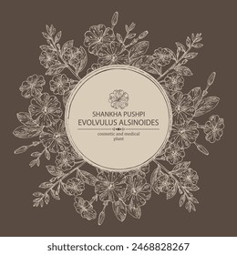 Antecedentes de evolvulus alsinoides: planta de Shankha Pushpi, hojas y flores de evolvulus alsinoides. Shankha Pushpi. Cosmética, perfumería y planta médica. Vector dibujado a mano ilustración
