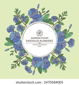 Background with evolvulus alsinoides: Shankha Pushpi plant, leaves and evolvulus alsinoides flowers. Shankha Pushpi. Cosmetic, perfumery and medical plant. Vector hand drawn illustration