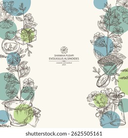 Background with evolvulus alsinoides: shankha pushpi plant, leaves and evolvulus alsinoides flowers. Shankha Pushpi. Oil, soap and bath salt . Cosmetics and medical plant. Vector