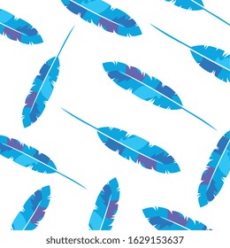 background of exotic feathers decoration vector illustration design