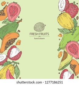Background with exotic fruits: lichee fruit, avocado, guava and papaya. Vector hand drawn illustration.