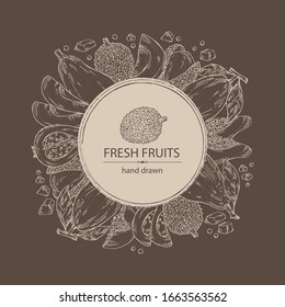 Background with exotic fruits: lichee fruit, avocado, guava and papaya. Vector hand drawn illustration. 