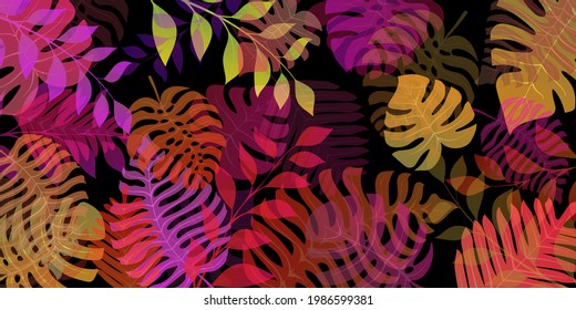 Background with exotic jungle plants. Tropical palm leaves. Rainforest illustration, multicolored on black.