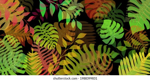 Background with exotic jungle plants. Tropical palm leaves. Rainforest illustration, multicolored on black.