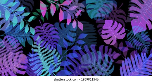 Background with exotic jungle plants. Tropical palm leaves. Rainforest illustration, multicolored on black.