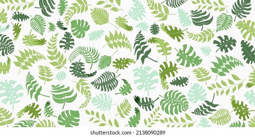 Background with exotic jungle plants. Tropical palm leaves. Rainforest illustration, green on white.