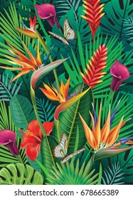 Background with exotic tropical flowers