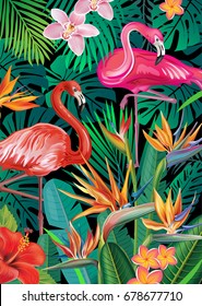 Background with exotic tropical flowers