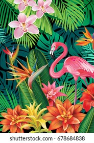 Background with exotic tropical flowers