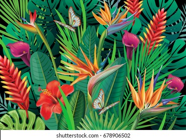 Background with exotic tropical flowers and leaves