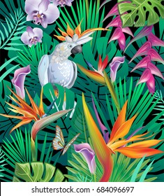 Background with exotic tropical flowers and leaves