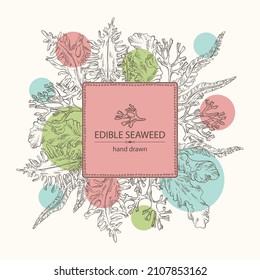 Background with f seaweed, algae: laminaria, porphyra seaweed, irish moss, wakame, undaria pinnate seaweed. Green, brown and red algae. Edible seaweed. Vector hand drawn illustration