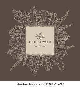 Background with f seaweed, algae: laminaria, porphyra seaweed, irish moss, wakame, undaria pinnate seaweed. Green, brown and red algae. Edible seaweed. Vector hand drawn illustration