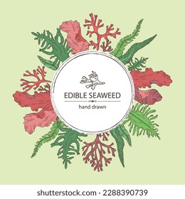 Background with f seaweed, algae: laminaria, porphyra seaweed, irish moss, wakame, undaria pinnate seaweed. Green, brown and red algae. Edible seaweed. Vector hand drawn illustration