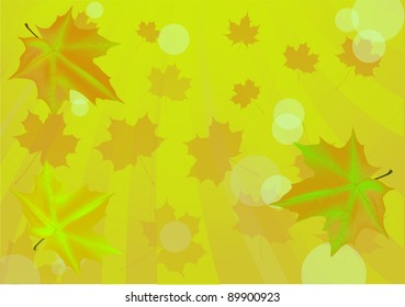 background with fall maple leaves on green