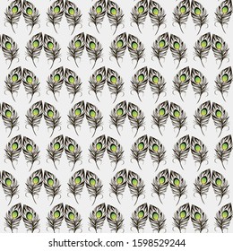 Background with feather bird fever, background for project, business, presentation. Background for site, new background.