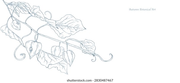 A background featuring trees and branches with groundcherry and leaf motifs. Template layout design, brochures, fall illustrations