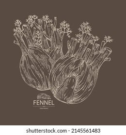 Fondo con hinojo: hinojo completo, pieza y raíz del hinojo. Foeniculum vulgare. Ilustración dibujada a mano por vectores. 
