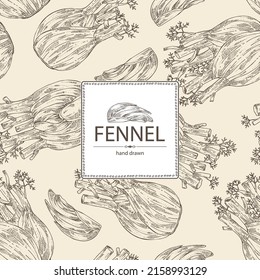 Background with fennel: full fennel, piece and fennel root. Foeniculum vulgare. Vector hand drawn illustration. 