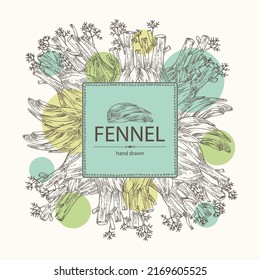 Background with fennel: full fennel, piece and fennel root. Foeniculum vulgare. Vector hand drawn illustration. 