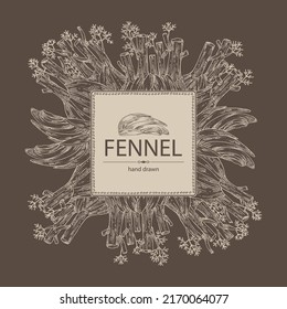 Background with fennel: full fennel, piece and fennel root. Foeniculum vulgare. Vector hand drawn illustration. 