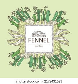 Background with fennel: full fennel, piece and fennel root. Foeniculum vulgare. Vector hand drawn illustration. 