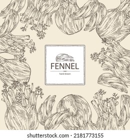 Background with fennel: full fennel, piece and fennel root. Foeniculum vulgare. Vector hand drawn illustration. 