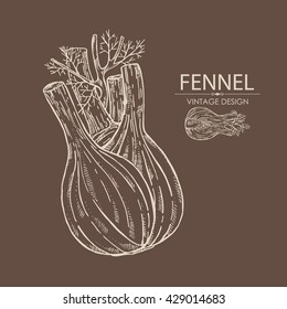 Background with fennel. hand drawn