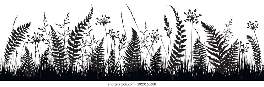 Background with fern leaf silhouettes and herbs. Floral background. Vector illustration.