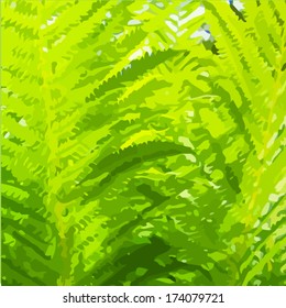 Background with fern. Vector