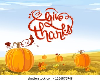 Background of field with pumpkins. Rural Landscape with Pumpkins for Thanksgiving Day. lettering Give thanks.