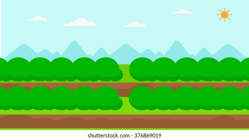 Fondo de filas de campo con arbustos verdes.