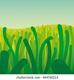 background field of underwater plants. abstract meadow sea bed - vector illustration